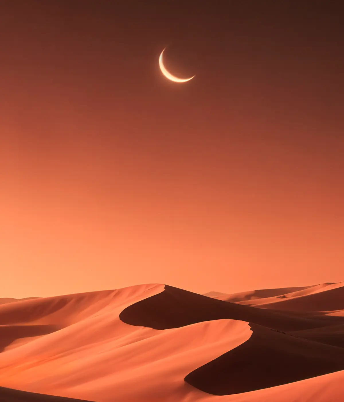 The Desert of Faith
