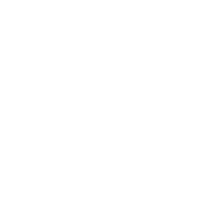 The Colors of the Soul logo